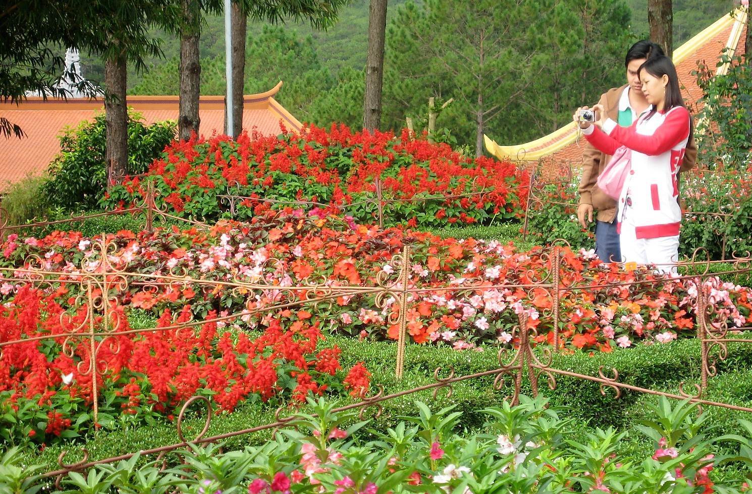 Flower garden